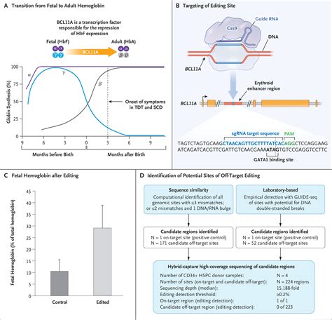 The Use of β.
